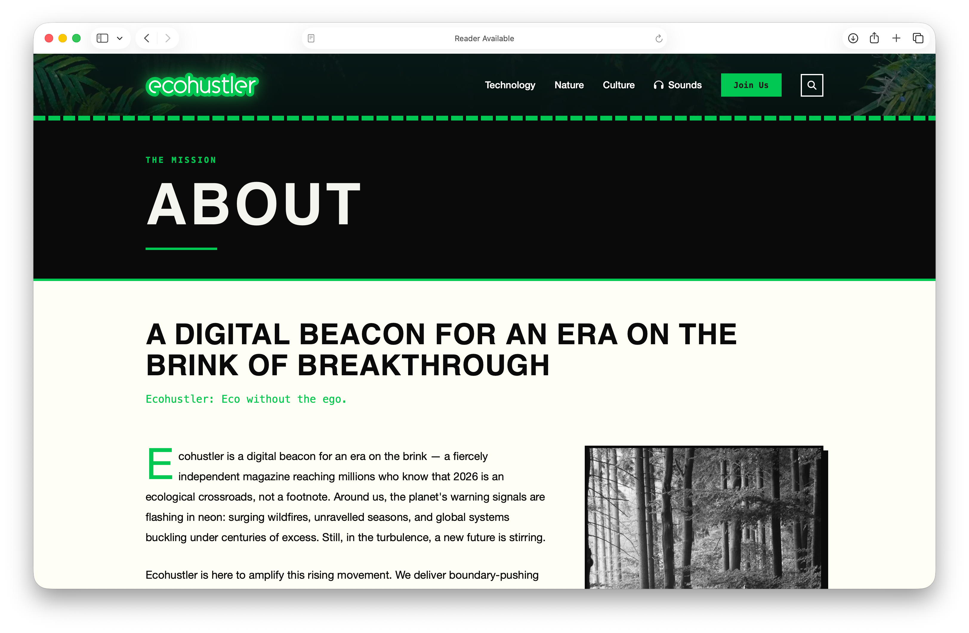 Ecohustler screenshot 4